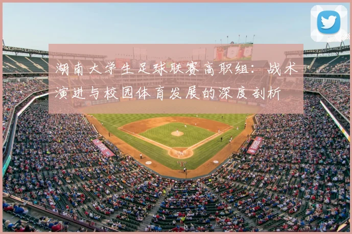 湖南大学生足球联赛高职组:战术演进与校园体育发展的深度剖析