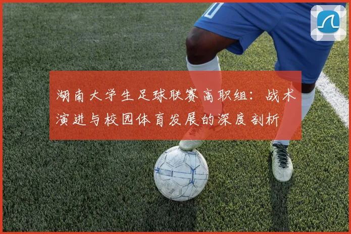 湖南大学生足球联赛高职组：战术演进与校园体育发展的深度剖析
